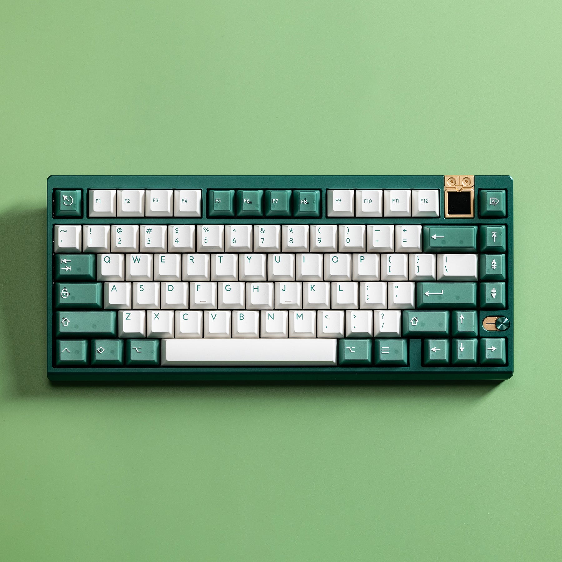 Athena 75 with PBTfans Transgreen