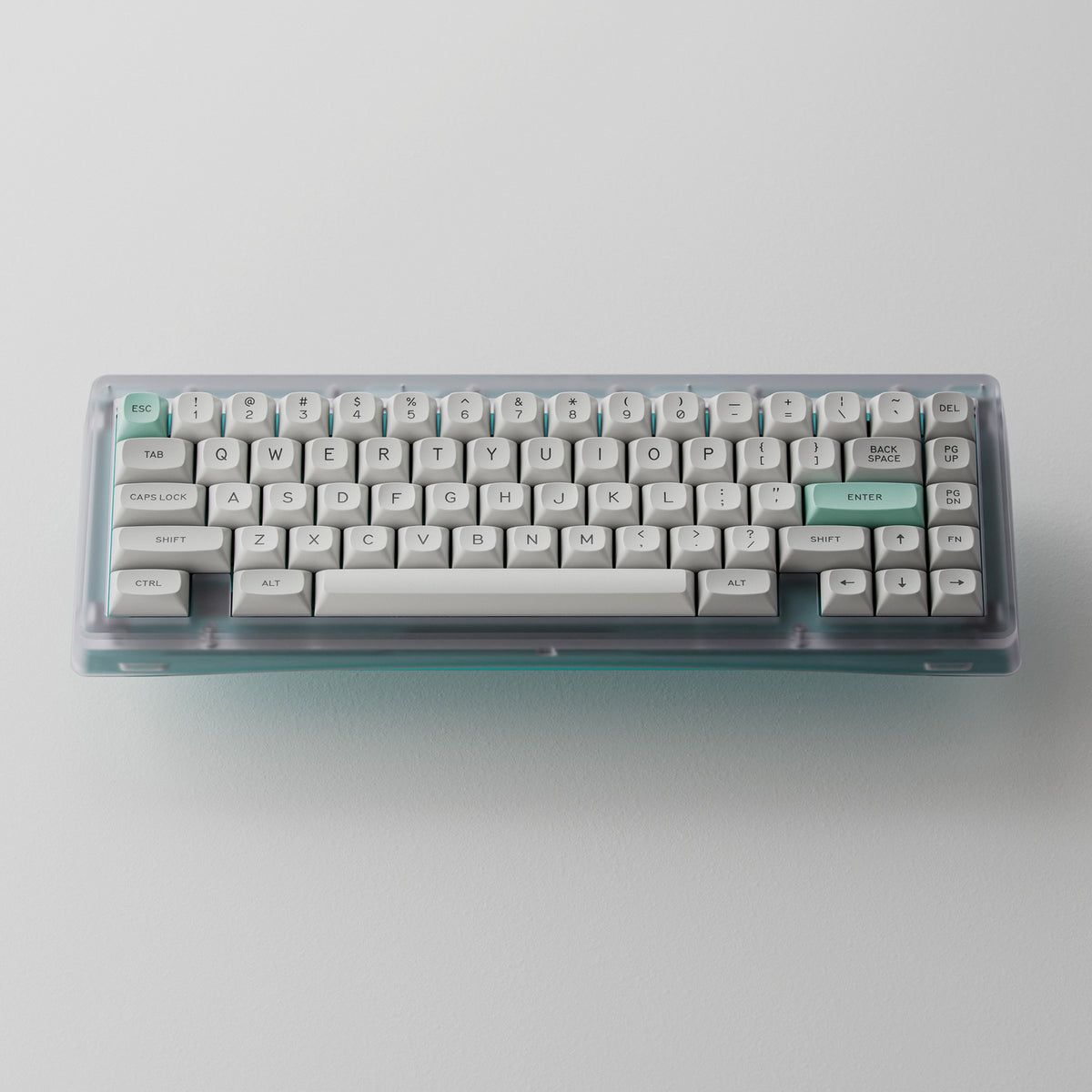 バウアー65