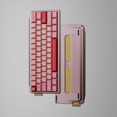 GT-60 ケース
